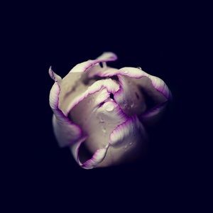 Meet your Posher, Ericka